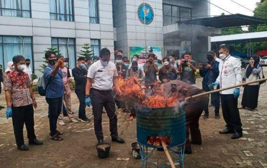 title BNNP Banten Musnahkan 1 Kg Sabu dan 1,3 Kg Ganja selama Januari 2021 BNNP Banten Musnahkan 1 Kg Sabu dan 1,3 Kg Ganja selama Januari 2021