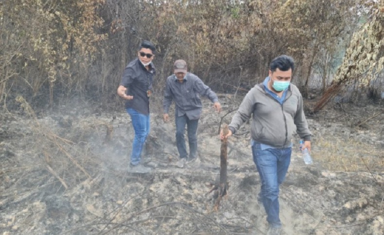 Lahan Gambut di Mempawah Terbakar, Seorang Pelaku Pembakaran Ditangkap