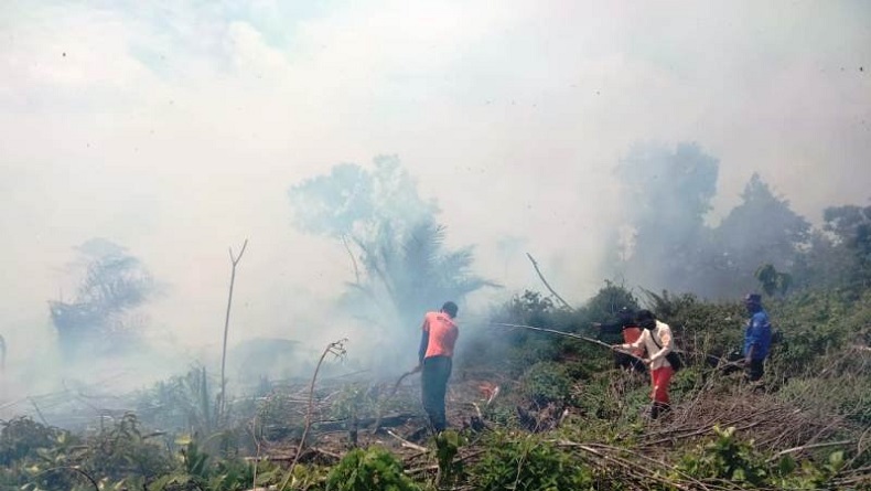 Diduga Cuaca Panas, 2 Hektare Lahan Gambut di Nagan Raya Terbakar