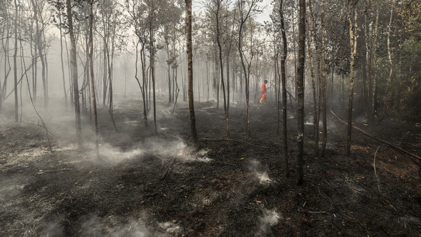Cuaca Panas, Hutan Kawasan Bandara Hang Nadim Terbakar - Bagian 2
