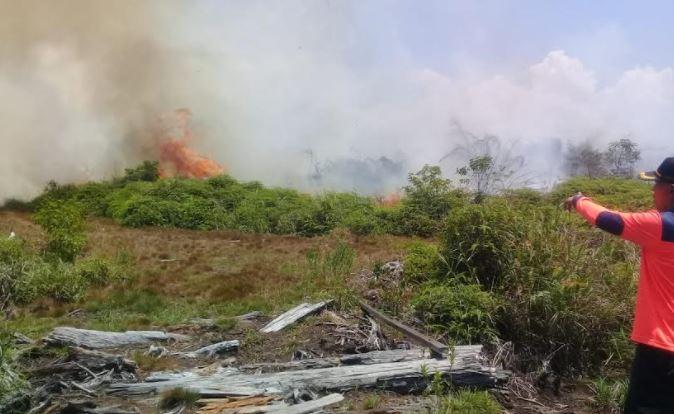Lahan Sawit Milik Mantan Jenderal di Agam Terbakar, Petugas Kewalahan