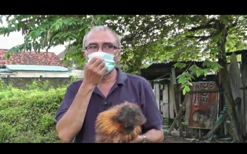 Kisah Zulfadli, Dosen Ekonomi Raih Untung dari Pelihara Ayam Kapas