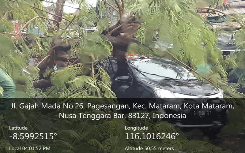 Pohon Tumbang Timpa Mobil di Mataram