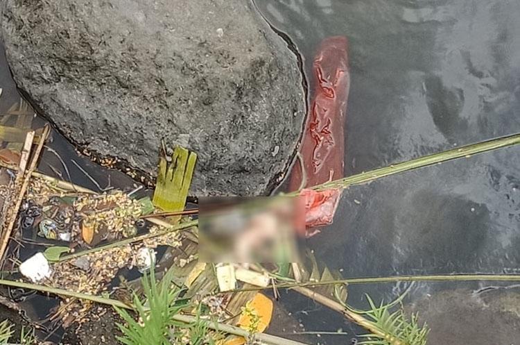 title Orok Laki-Laki Dibuang di Sungai Gajah Wong Yogyakarta Orok Laki-Laki Dibuang di Sungai Gajah Wong Yogyakarta