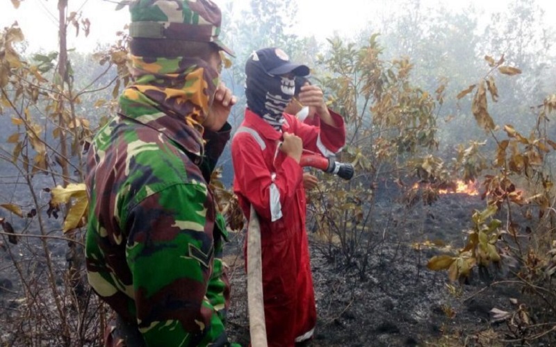 3 Kecamatan Rawan Karhutla, Pemkab OKU Timur Dirikan Posko 