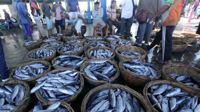 Nelayan Tetap Melaut saat Pandemi, Tangkapan Ikan di Pulau Weh 2020 Meningkat
