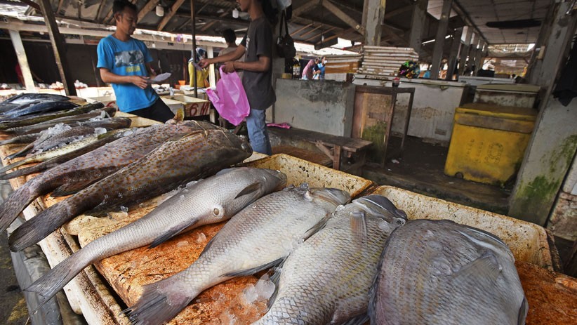 Angka Konsumsi Ikan Naik 3,47 Persen - Bagian 2