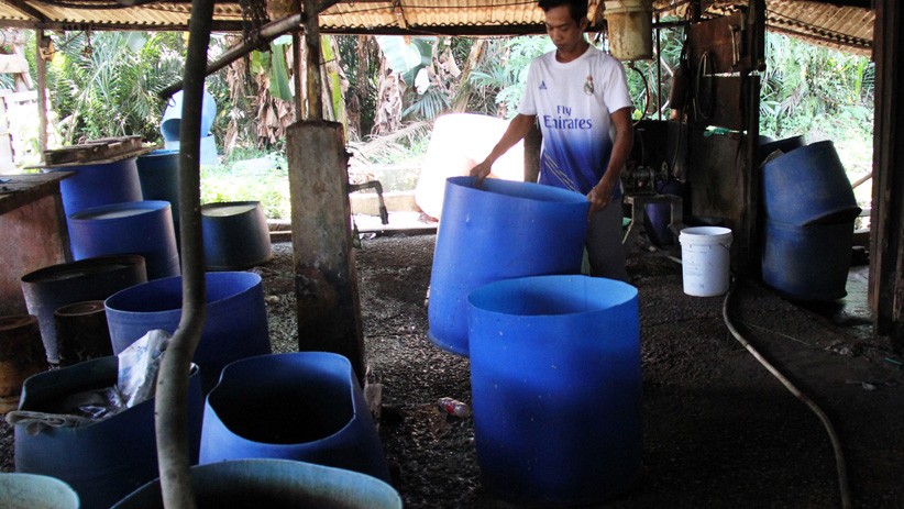 Harga Kedelai Impor Terus Naik, Produsen Tahu dan Tempe di Dumai Mogok  - Bagian 2