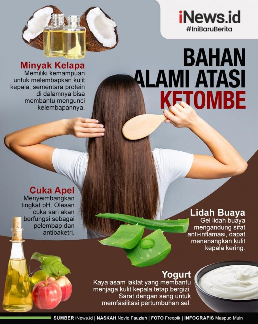 Infografis Bahan Alami Atasi Ketombe