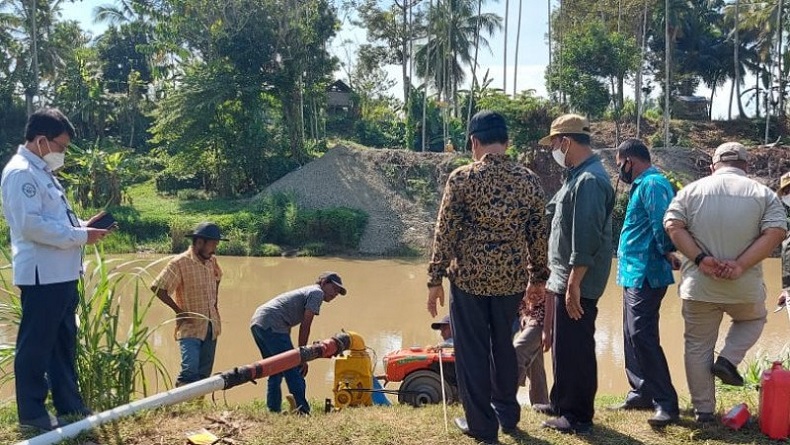800 Hektare Sawah di Aceh Besar Kekeringan, Petani terancam Gagal Panen