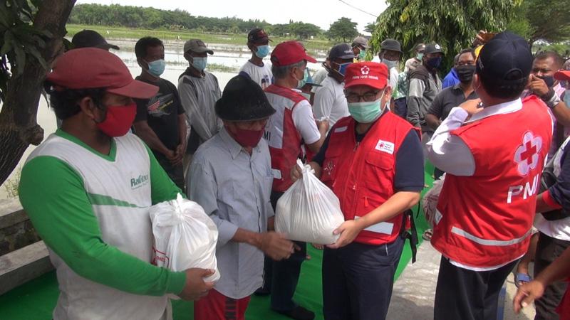 Sekjen PMI: 6 Jam Setelah Bencana, Relawan Harus Berada di Lapangan Bantu Korban