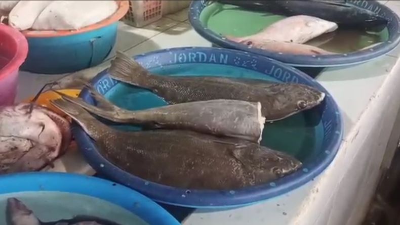 Pasokan Minim akibat Banjir, Harga Ikan di Batang Naik 