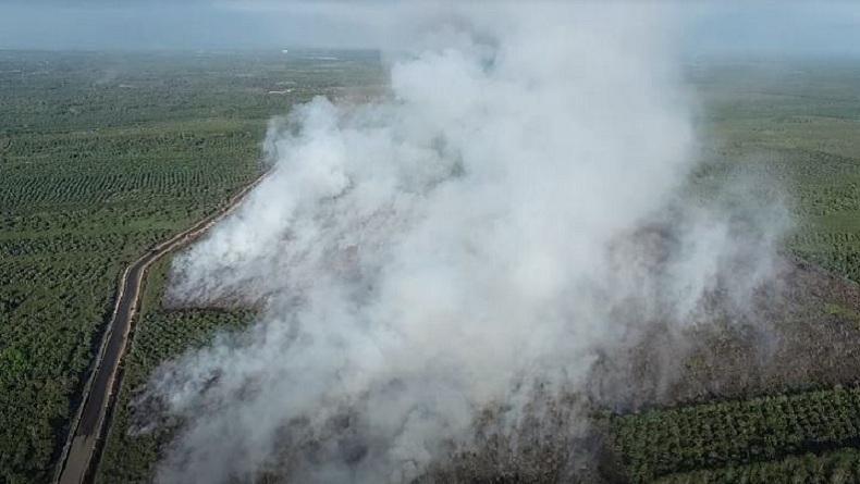 title Karhutla di Nagan Raya, 6 Hektare Lahan Gambut Terbakar Karhutla di Nagan Raya, 6 Hektare Lahan Gambut Terbakar