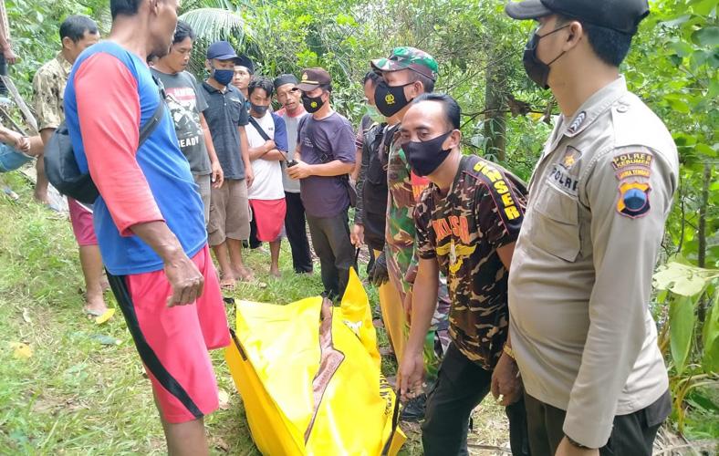 Terpeleset Jatuh Senggol Kabel Listrik, Penebang Pohon Tewas Kesetrum