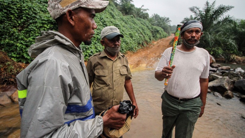 BKSDA Aceh Gunakan Mercon Usir Gajah Masuk Perkebunan Warga - Bagian 2