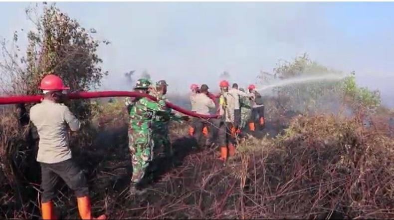Karhutla di Nagan Raya Padam, Tim Gabungan Lanjutkan Tahap Pendinginan 