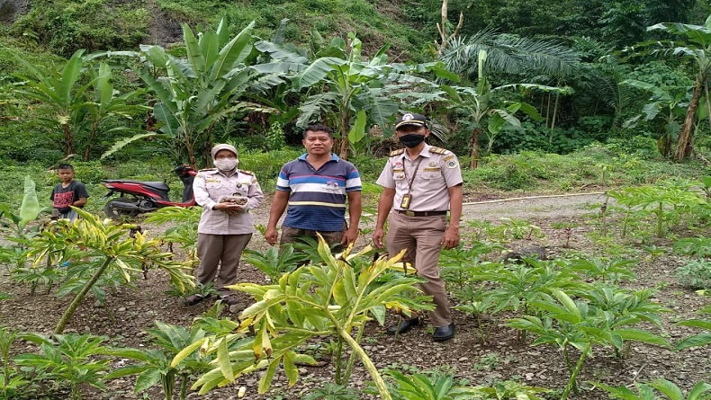 Dorong Ragam Komoditas Baru, Karantina Pertanian Manado Gelar Safari Ekspor