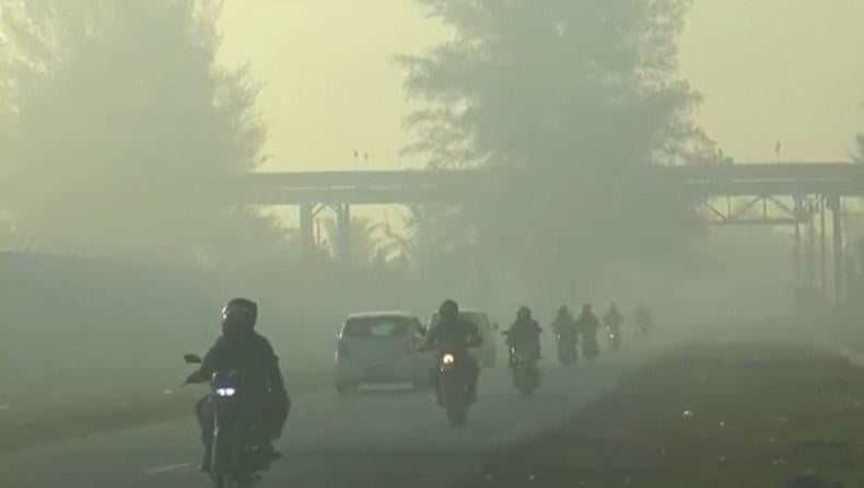 title 10 Hektare Lahan Terbakar di Nagan Raya, Asap Ganggu Warga dan Lalu Lintas 10 Hektare Lahan Terbakar di Nagan Raya, Asap Ganggu Warga dan Lalu Lintas