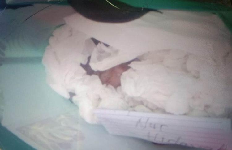 title Bayi Perempuan Dibuang di Sleman, Polisi Temukan Surat dari Orang Tua Bayi Bayi Perempuan Dibuang di Sleman, Polisi Temukan Surat dari Orang Tua Bayi