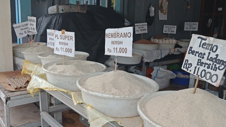title Kualitas Beras Lokal Menurun, Beras Luar Gorontalo Kuasai Pasar Kualitas Beras Lokal Menurun, Beras Luar Gorontalo Kuasai Pasar
