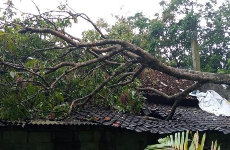 Talud Jebol 15 Kepala Keluarga di Sleman Rumahnya Terendam