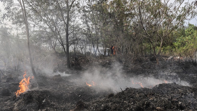 Kebakaran Lahan di Batam akibat Warga Membakar Sampah  - Bagian 2