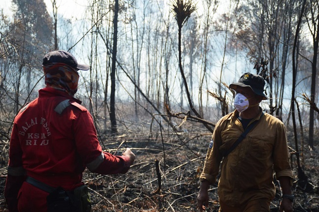 Karhutla di Inhil Riau, Petugas Gabungan Harus Menginap di Hutan Padamkan Api