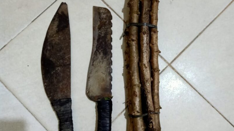 Panen Singkong Milik Tetangga, Pria di Lampung Tengah Ditangkap Polisi