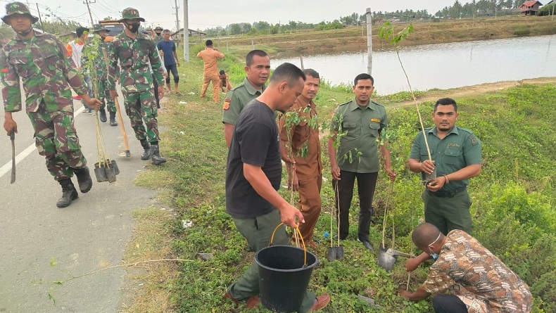 Kompi B 113 Raider dan BPKH Krueng Tiro di Pidie Jaya Gelar Tanam 1.000 Pohon di Jalan Nasional