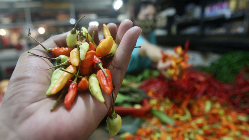 Harga Cabai Rawit di Jogja Tembus Rp75.000 per Kilogram  