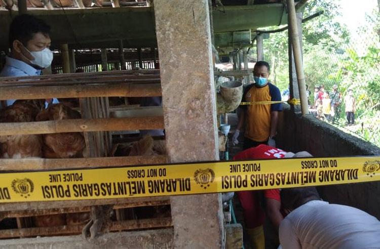 Buruh Kandang Ayam di Kulonprogo Tewas Tersengat Listrik