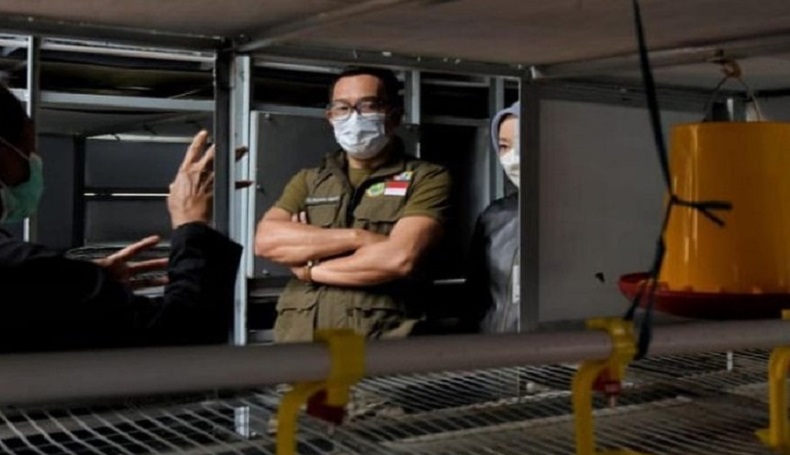 Berkunjung ke Kabupaten Bandung, Ridwan Kamil Pamer Apartemen Ayam di Instagram