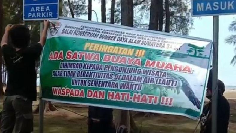 Heboh Kemunculan Buaya 2 Meter di Pantai Tiku Agam, Pengunjung Wisata Sempat Panik