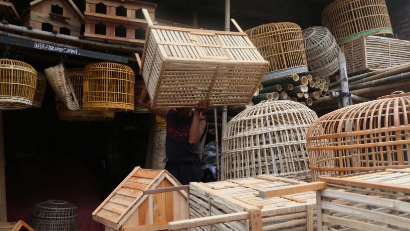 Berbentuk Unik, Sangkar Burung dan Ayam Tradisional Diminati Masyarakat Perkotaan - Bagian 3