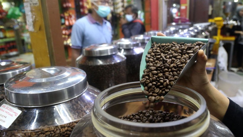 Petani Kopi di Lampung Mengeluh, Harga Biji Kopi Anjlok Jadi Rp17.000