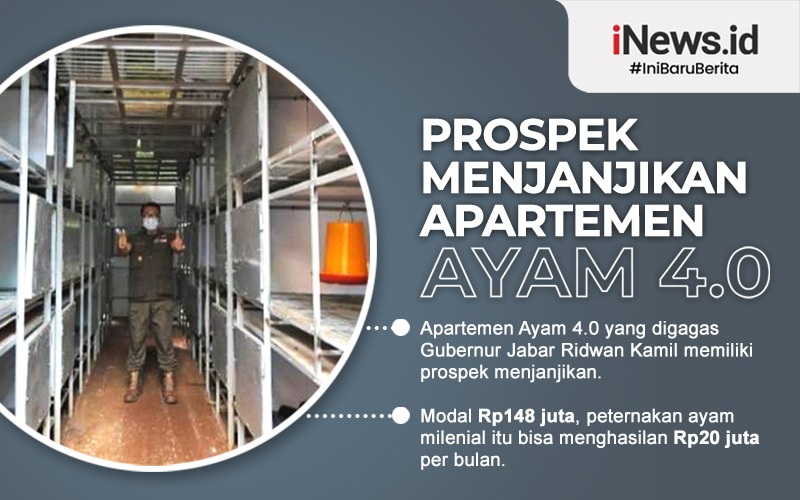 Infografis Prospek Menjanjikan Apartemen Ayam 4.0