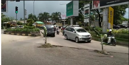 Protes Jalan Raya Cilegon Rusak Tak Diperbaiki, Warga Tanam 2 Pohon Pisang