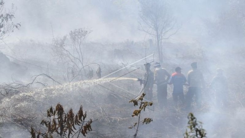 Karhutla di Aceh Barat Padam 95 Persen, BPBD Masih Siaga