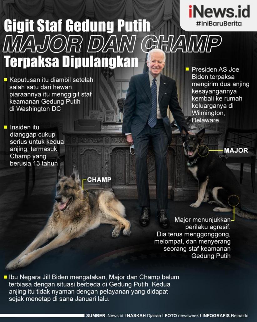Infografis 2 Anjing Joe Biden Harus 'Pulang Kampung'