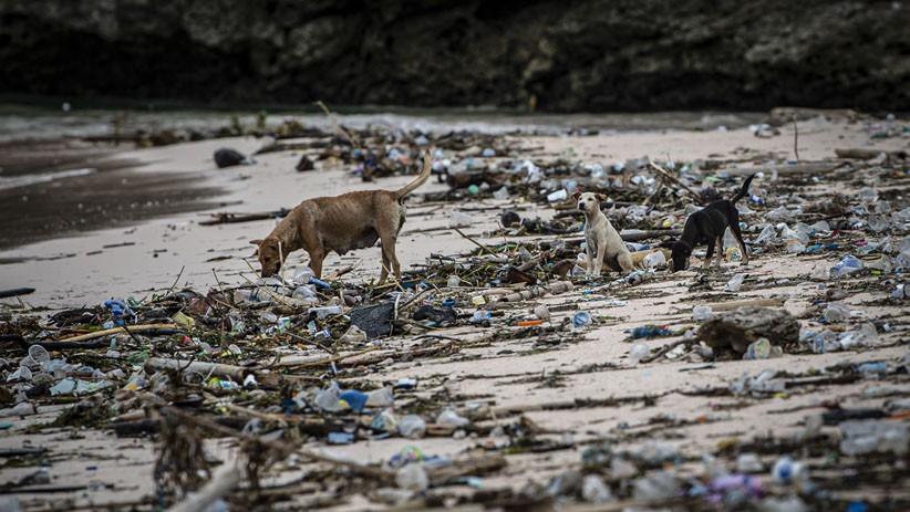 Tumpukan Sampah Plastik Rusak Lingkungan dan Keindahan Pantai Pink Lombok - Bagian 1