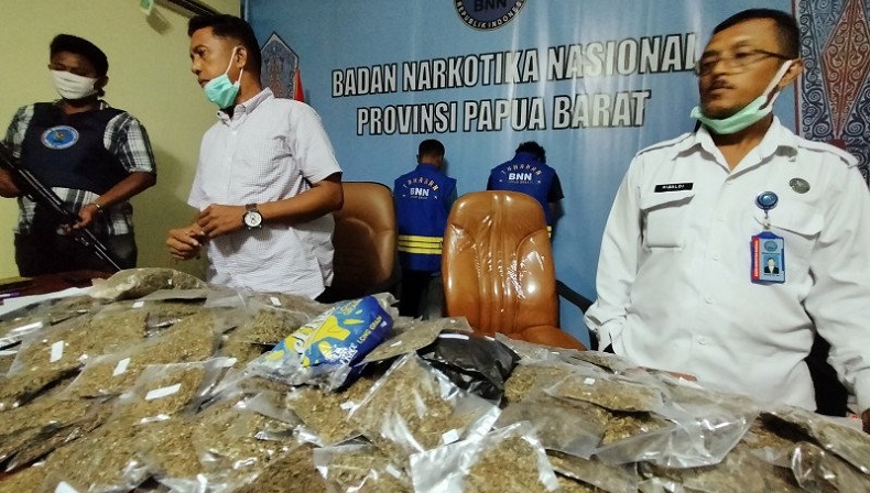 BNN Papua Barat Gagalkan Penyelundupan 6 Kg Ganja, 2 Kurir Ditangkap