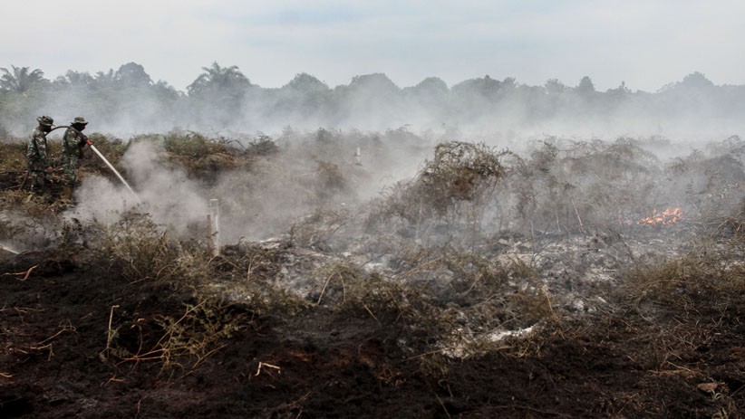 Prajurit TNI Berjibaku Padamkan Kebakaran Hutan dan Lahan di Riau - Bagian 3