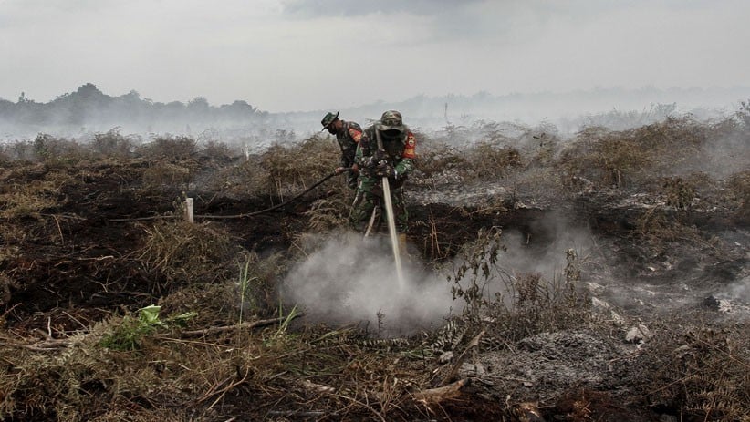 Prajurit TNI Berjibaku Padamkan Kebakaran Hutan dan Lahan di Riau - Bagian 2