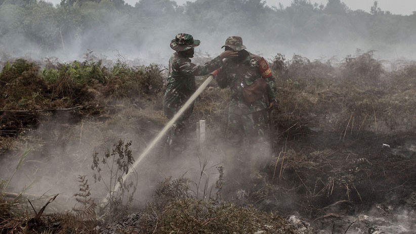 Prajurit TNI Berjibaku Padamkan Kebakaran Hutan dan Lahan di Riau - Bagian 1