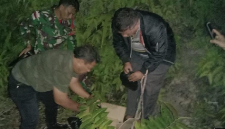title Lagi, Satgas TNI Temukan 10 Kg Sabu di Perbatasan RI-Malaysia Lagi, Satgas TNI Temukan 10 Kg Sabu di Perbatasan RI-Malaysia