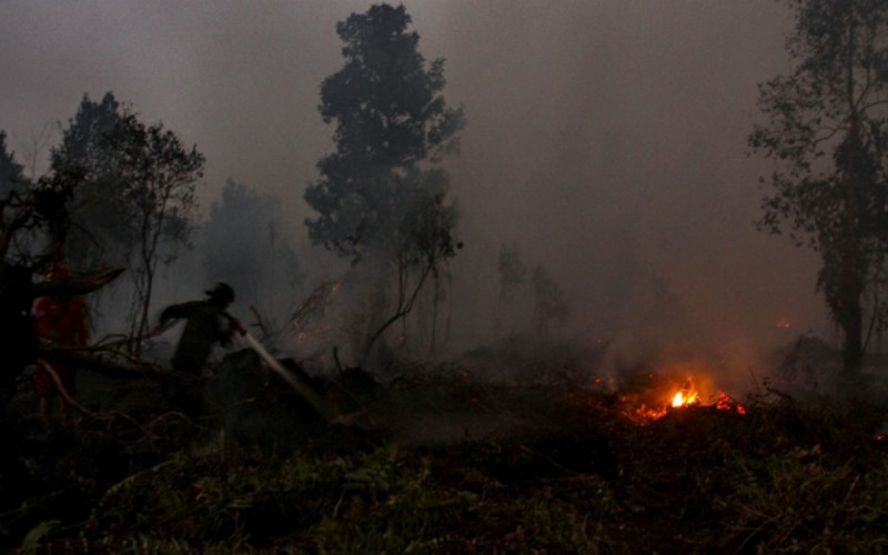 Cegah Karhutla, OKU Timur Aktifkan Masyarakat Peduli Api 