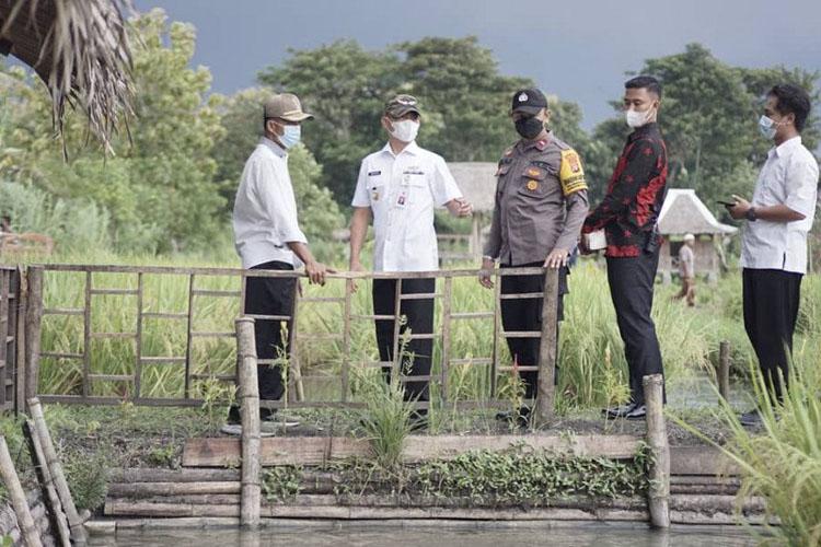 Usung Konsep Mina Padi, Gunungkidul Kembangkan Agrowisata