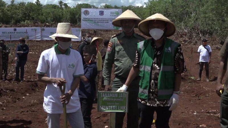 Sele Raya Agri Bangun Hutan Tanaman Industri Jati dan Agroforestry di Pulau Muna
