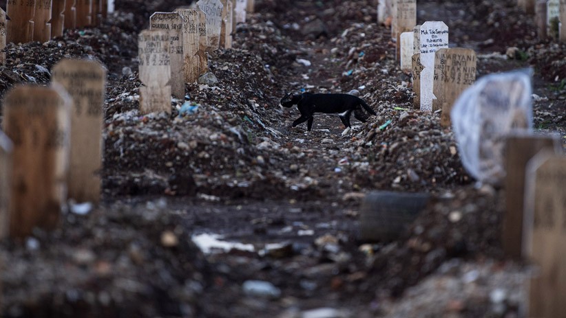 Angka Kematian Covid-19 Indonesia Tinggi - Bagian 3