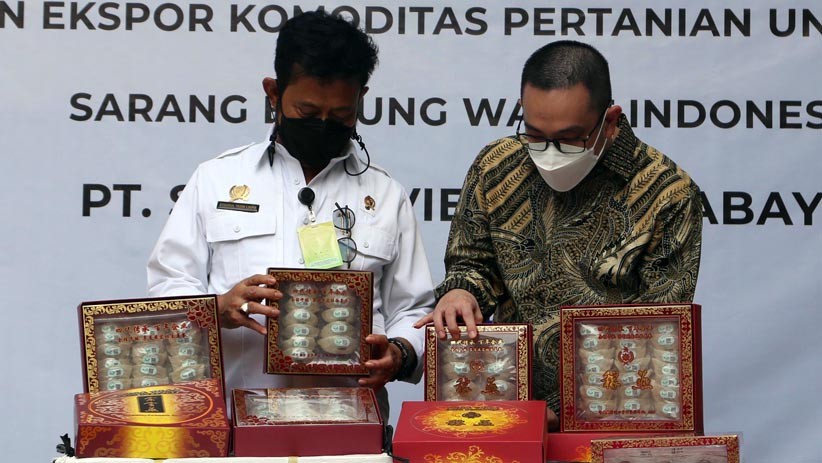 Komoditas Pertanian Unggulan, Sarang Burung Walet Diekspor ke China - Bagian 2